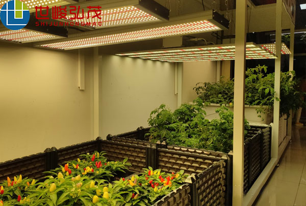 植物生長(zhǎng)燈鋁型材